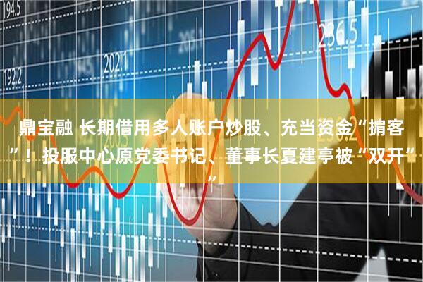 鼎宝融 长期借用多人账户炒股、充当资金“掮客”！投服中心原党委书记、董事长夏建亭被“双开”