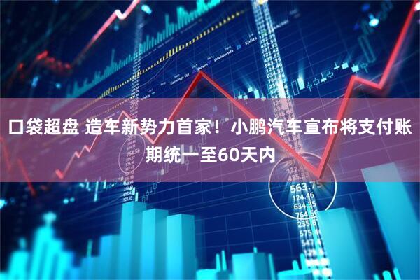 口袋超盘 造车新势力首家！小鹏汽车宣布将支付账期统一至60天内