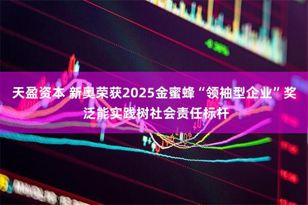 天盈资本 新奥荣获2025金蜜蜂“领袖型企业”奖 泛能实践树社会责任标杆