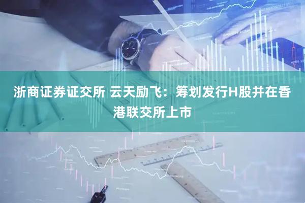 浙商证券证交所 云天励飞：筹划发行H股并在香港联交所上市