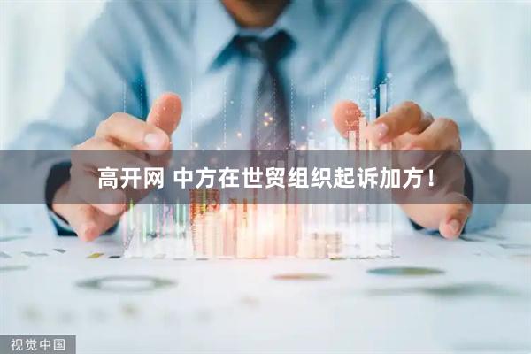 高开网 中方在世贸组织起诉加方！