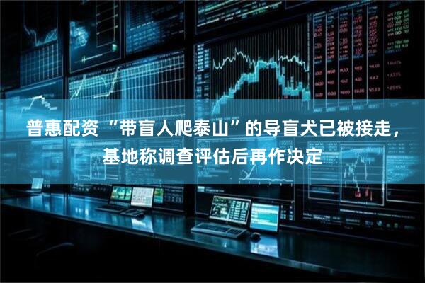普惠配资 “带盲人爬泰山”的导盲犬已被接走，基地称调查评估后再作决定